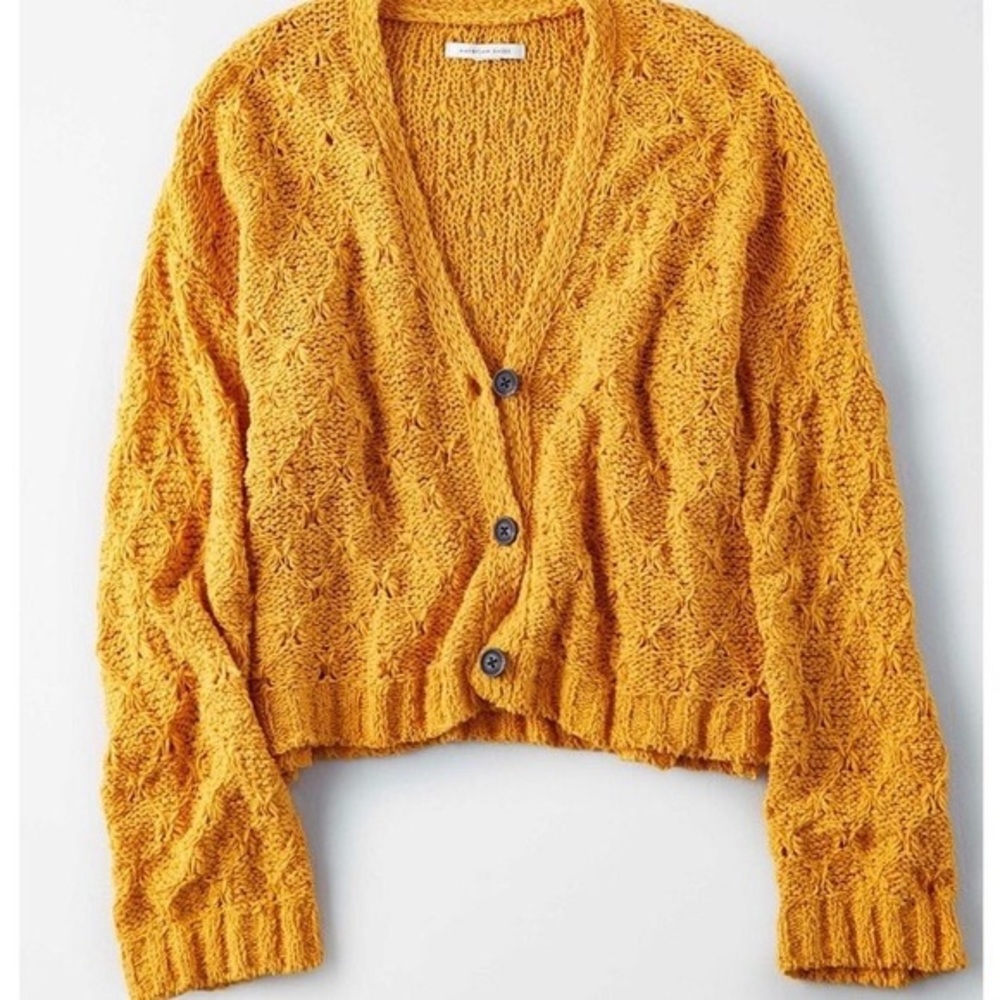 American Eagle Crop Cardigan